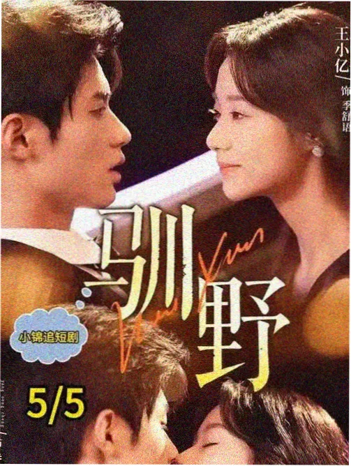 群山之南 高分韩剧推荐完结